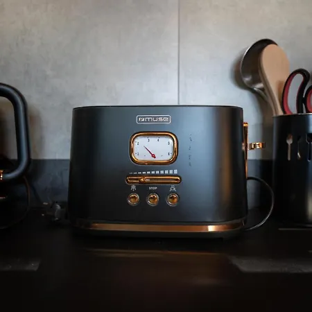 Apartment Cosy Pieds Des Pistes Centre 2 Chbres